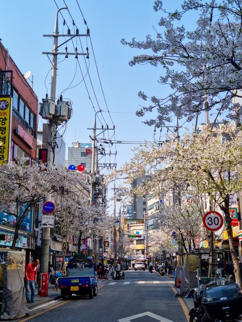 #aesthetic #southkorea #photo #dump #random #seoul #mood #vibe #korea #cafe #korean #spring South Korea Spring, Seoul Hongdae, Seoul Trip, Seoul Spring, Seoul Aesthetic, Korea Cafe, South Korea Trip, Korean Cafe, Korean Life