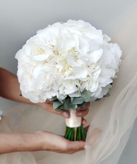 Elegant Bridal Bouquets, Brides Flowers Bouquet, Elegant White Wedding, Elegant Wedding Bouquets, White Bouquets, Simple Wedding Bouquets, Winter Wedding Bouquet, Wedding Bouquets Bride, Bridal Bouquet Flowers