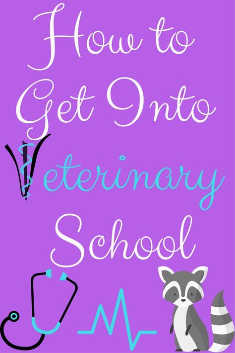 Calling all hopeful vet students! Check out my blog, "How to Get Into Vet School: A Complete Guide to Becoming a Veterinarian"! Tips on college coursework, volunteering,  VMCAS, and everything you need to know about being pre-vet and getting accepted! Pre Vet, Veterinarian School, Vet Tech School, Vet Notes, Becoming A Veterinarian, Vet Life, Veterinary Surgeon, Vet Office, Veterinary School