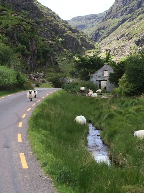 Gap Of Dunloe, Ireland Aesthetic, Ireland Road Trip, Adventure Is Calling, Ireland Landscape, Ireland Vacation, Visit Ireland, Beautiful Travel, Travel Trip