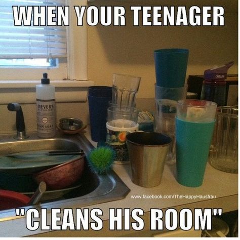 Raising Teenagers, Clean Memes, Teen Humor, Parenting Memes, All I Ever Wanted, Parenting Teens, Parenting Humor, Mom Quotes, Sarcastic Quotes