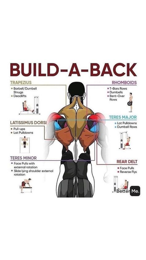 Back Workout Bodybuilding, Gym Back Workout, Back Workout Routine, Deadlift Squat, Workout Gym Routine, Gym Workout Guide, Bodybuilding Workouts Routines, Best Gym Workout, Gym Workout Planner