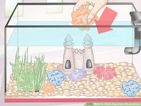 How to Clean Aquarium Decorations (with Pictures) - wikiHow Cleaning Fish Tank, Aquarium Tanks, Fish Tank Cleaning, Cleaning Fish, Easy Pets, Fish Tanks, Aquarium Decorations, Fish Tank Decorations, Stay Healthy