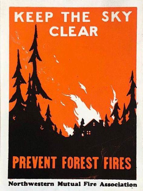 Wildland Fire, Wild Fire, Fire Designs, Fire Prevention, Poster Illustration, Fire Signs, Forest Fire, Sign Design, Letterpress