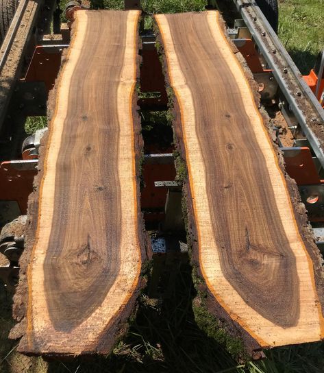 Black Walnut Wood Projects, Walnut Wood Projects, Character Defects, Solar Kiln, Cheese Board Diy, Rustic Wood Bench, Live Edge Black Walnut, Rustic Log Furniture, Walnut Board