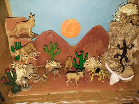 Diorama Desert Coyote Habitat Project, Desert Diarama Ideas, Desert Biome Shoebox Project, Desert Diorama Ideas For Kids, Desert Habitat Projects For Kids, Desert Biome Project Ideas, Western Diorama, Ecosystems Diorama, Biome Project