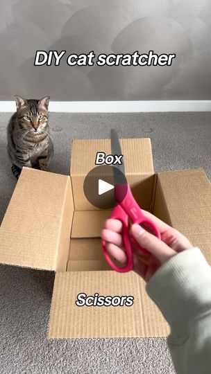 242K views · 34K reactions | DIY cat scratcher 🙀

Inspired by @potaroma_pet 😻

#diy #diycattoy #diycatscratcher #catscratcher #catreels #catreel #catcontent #petfluencers #catscatscats #catsofinstagram
#tabbycatsofinstagram #catsofig #catlife | Cat Tigrous 🐈  The Desert Cat 🏜 | cat_tigrous · Original audio Cat Scratcher Diy, Diy Cat Scratching Post, Diy Cat Scratcher, Desert Cat, Kat Diy, Pet Diy, Cardboard Cat Scratcher, Diy Cat Toys, Homemade Cat