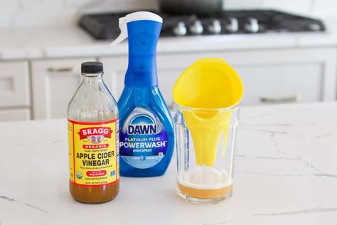 How To Get Rid of Fruit Flies In Your Kitchen (DIY Tips) Fruit Flies Get Rid Of Kitchens, Fruit Flies Get Rid Of, How To Get Rid Of Fruit Flies In House, Killing Fruit Flies, Getting Rid Of Nats, Fly Remedies, Zevo Insect, Fruit Flies In House, Fly Infestation