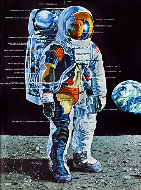 1969 ... Apollo lunar suit Mars Colonization, Lunar Lander, Space Suits, Space Launch, Neil Armstrong, Space Stuff, Space Race, Nasa Space, Space The Final Frontier