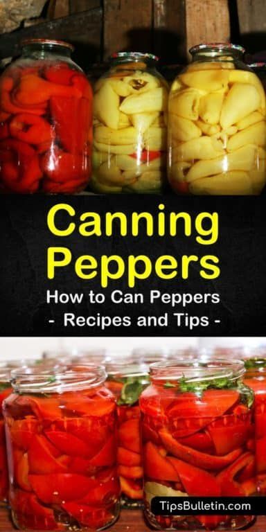 Hot Water Bath Canning Jalapenos, How To Can Hot Peppers From Garden, Canning Banana Peppers Water Bath, Picked Peppers Recipes, How To Preserve Peppers, Hot Pepper Canning Recipes, How To Make Pepper Sauce, Canning Peppers Recipes, Canned Hot Peppers Recipes