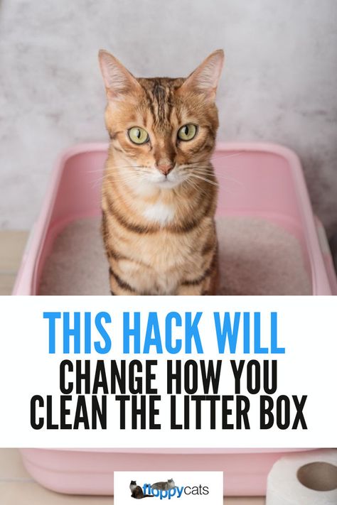 Every cat owner needs this life-changing cleaning hack to keep their home odor-free and tidy. Transform your litter box cleaning routine with this amazing litter box hack! Cat Litter Box Diy, Diy Christmas Outfit, Vegan Christmas Desserts, Vegetarian Christmas Recipes, Cat Litter Boxes, Christmas Decorations Sewing, Vegan Christmas Cookies, Self Cleaning Litter Box, Litter Robot