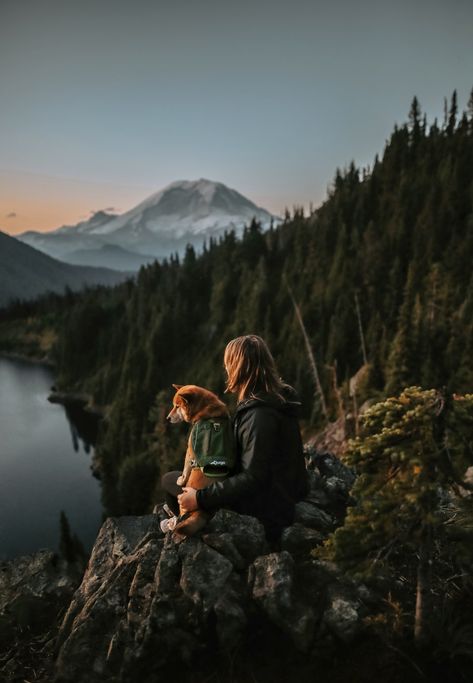 Hiking With Dogs Aesthetic, Roadtrip With Dog, Adventures With Dogs, Dog And Owner Aesthetic, Dog Hiking Aesthetic, Dog Owner Aesthetic, Traveling With Dog, Dog In Nature, Hiking Photo Ideas