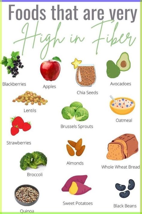 Most Fiber Rich Foods, High Finer Food, Fiber Rich Diet Plan, Veggies With Fiber, Top Fiber Rich Foods, Food Rich In Fiber, Food With High Fiber, Foods That Are High In Fiber, Foods With Lots Of Fiber