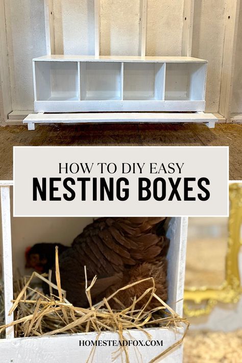 An easy step-by-step guide on how to build nesting boxes for your chicken coop! How To Build A Nesting Box For Chickens, Chicken Coop Nest Boxes Diy, How To Build Chicken Nesting Boxes, Nesting Boxes Inside Coop, Diy Chicken Nesting Boxes Ideas, Chicken Coops Plans Free, How To Make Nesting Boxes For Chickens, Easy Chicken Coop Diy Cheap Nesting Boxes, Shed Turned Into Chicken Coop