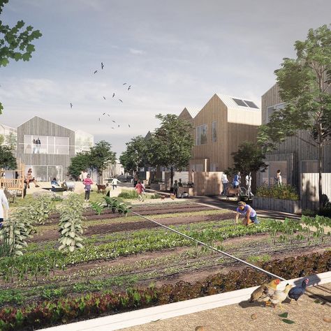 Render Architecture, Co Housing, Urban Village, Community Garden, Architecture Rendering, Diagram Architecture, Community Gardening, Urban Farming, Aarhus