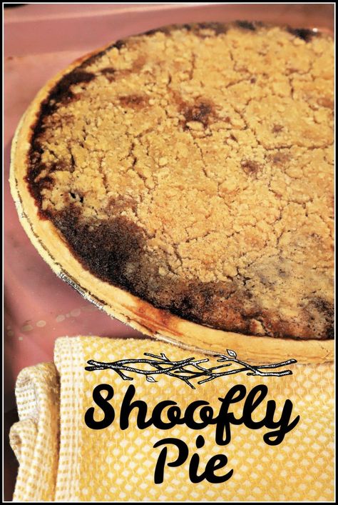 Dry Bottom Shoo Fly Pie Recipe, Sho Fly Pie, Shoo Fly Pie Recipe, Chocolate Shoo Fly Pie, Shoofly Pie, Flexitarian Recipes, Exotic Food, Crumble Topping, Family Favorite Meals