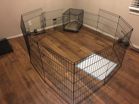 Setting Up a Long Term Confinement area (LTCA) / Preparing for the Puppy (Before you bring it home): Dog Gone Problems Puppy Play Area Indoor, Puppy Pens, Snoopy Dog House, Puppy Playpen, House Plans With Pictures, Dog House Plans, Puppy Crate, Play Pen, Crate Diy