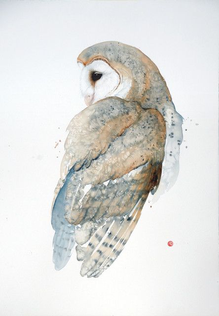 Karl Martens, Barn Owl (Unframed) Karl Martens, Akvarel Illustration, Illustration Kunst, Owl Watercolor, Owl Artwork, Watercolor Birds, Arches Watercolor Paper, Owls Drawing, Bird Artwork