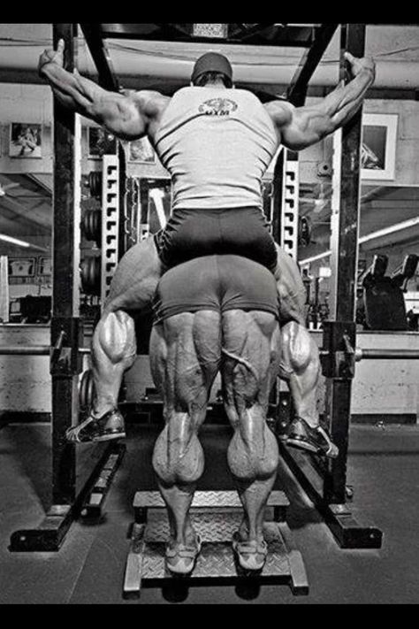 Cows not calves Bodybuilding Female, Arnold Schwarzenegger Bodybuilding, Schwarzenegger Bodybuilding, Bodybuilding Pictures, Bodybuilding Nutrition, Build Muscle Mass, Calf Raises, Mr Olympia, Body Builder