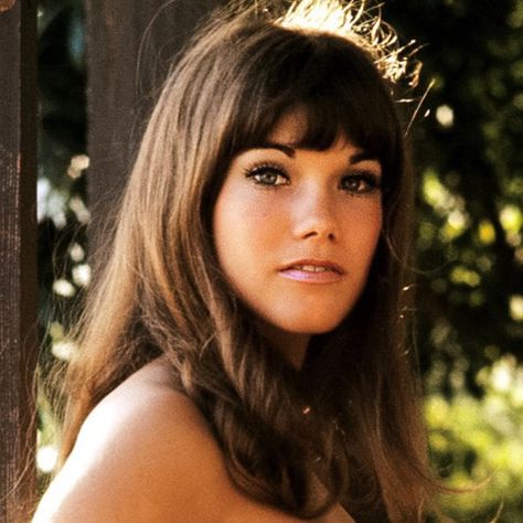 Barbi Karen Black, Barbi Benton, Youth Photos, Celebrity Prints, Lynda Carter, Amanda Bynes, Celebrity Biographies, Beauty Photos, How Old