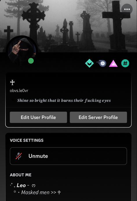 Discord Users Ideas, Discord Usernames, Discord Username Ideas, Discord Profile Layout, Discord Server Roles Ideas, Discord Users, Pfp For Tiktok, Discord Themes, Profile Layout