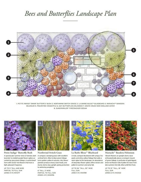 This landscape plan will have the bees buzzing and the butterflies all a-flutter... and you'll love it, too, with the gorgeous contrast of oranges and rich blue-purples. Follow our easy layout, or take our ideas as a starting point for your own space. Find more garden designs for attracting hummingbirds and birds to your backyard habitat in our Habitat Design Guide. Pollinator Yard Design, Rock Garden Layout, Butterfly Garden Plans Layout, Bird Habitat Landscape Design, Outdoor Butterfly Garden, Bee And Butterfly Garden Layout, Butterfly Garden Pictures, Pollinator Garden Design Front Yards, Pollinator Garden Layout Zone 5