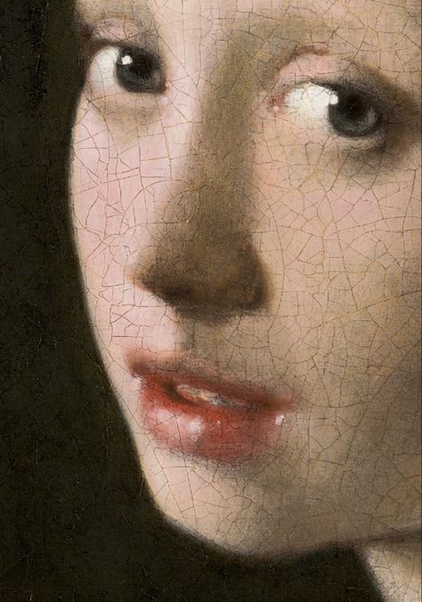 Famous Art Paintings, Girl With Pearl Earring, 얼굴 드로잉, Johannes Vermeer, Dutch Painters, Famous Art, Pearl Earring, Classical Art, Art Reference Photos