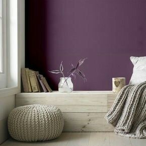 Dove Feather, Pink Rooms, Eggshell Paint, Purple Bedroom, Graham Brown, Interior Wall Paint, Purple Paint, Brown Paint, Graham & Brown