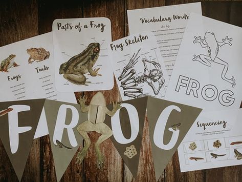 Frog Unit Study, Unit Study Homeschool, Homeschool Summer, Anatomy Learning, Frog Dissection, Frog Classroom, Journal Science, Summer Homeschool, Montessori Science