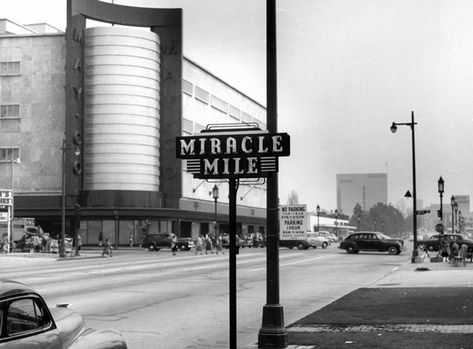 Wilshire Boulevard, Usc Library, Miracle Mile, California History, San Fernando Valley, Vintage Los Angeles, City Of Angels, Los Angeles Area, Baby Boomer