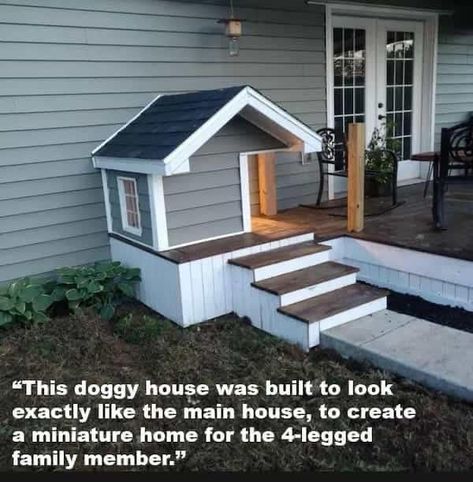 Katt Diy, Katt Grejer, Cool Dog Houses, Dog Spaces, Dog House Diy, Dog Rooms, Dog Door, Apartment Inspiration, House Entrance