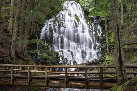 It's a 7 mile loop hike to get to Ramona Falls in Mt. Hood wilderness, less than 2 hours from Portland, Oregon! River Video, Oregon Coast Hikes, Ramona Falls, Mount Hood Oregon, Pacific Coast Road Trip, Horsetail Falls, Best Weekend Trips, Northwest Landscaping, Trillium Lake