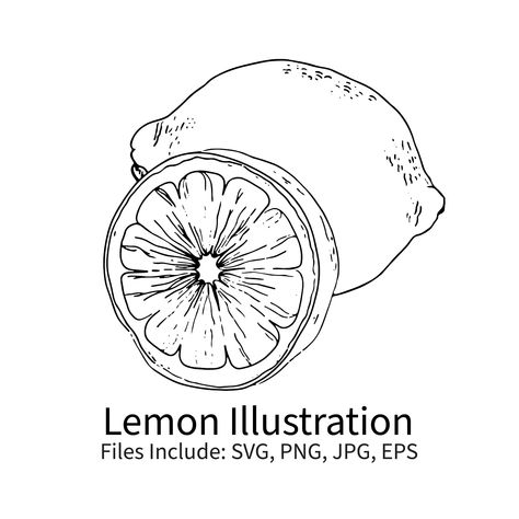 Lemon Vector, Cake Art Print, Lemon Drawing, Design Toolkit, Lemon Art, Projects Design, Blog Graphics, Still Life Fruit, Art Svg