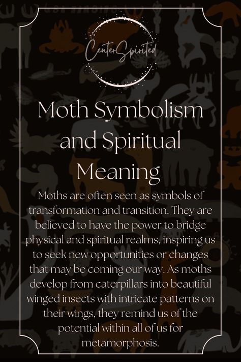 Moths have long been shrouded with layers of mysticism and symbolism, full of spiritual meaning for those who spot one in their path. For centuries, h...https://centerspirited.com/animal-symbolism/moth-symbolism/ Moth Meaning, Moth Symbolism, Moth Tattoo Meaning, Luna Moth Tattoo, Finding Feathers, Feather Symbolism, Feather Tattoo Meaning, Moth Tattoo Design, Animal Meanings