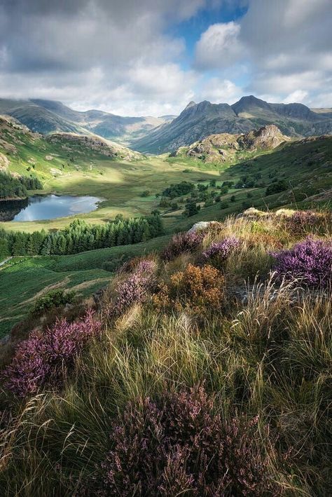 Lake District England, Have Inspiration, English Countryside, Pretty Places, Green Grass, Lake District, Amazing Nature, Beautiful World, Beautiful Landscapes