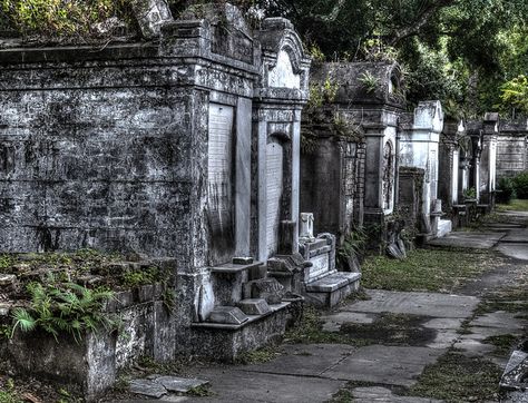 New Orleans Cemeteries Photography, New Orleans Cemetery, Beautiful Cemeteries, New Orleans Cemeteries, Lafayette Cemetery, Cemeteries Photography, Marie Laveau, Blue Sargent, Fake Trees