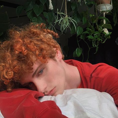 Red Head Boy, Ginger Boy, Redhead Men, Ginger Men, Costume For Halloween, Fairy Costume, Hair Reference, Hair Photo, Ginger Hair