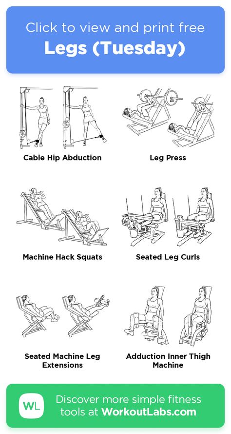 Women Gym Machine Routine, 30 Min Lower Body Workout Gym, Gym Machine Leg Workout, Legs Machine Workout Gym, Lower Body Workout Gym Machines, Leg Workout Machine Gym, Leg Workout Gym Machines, Gym Leg Workout For Women, Leg Exercises At The Gym