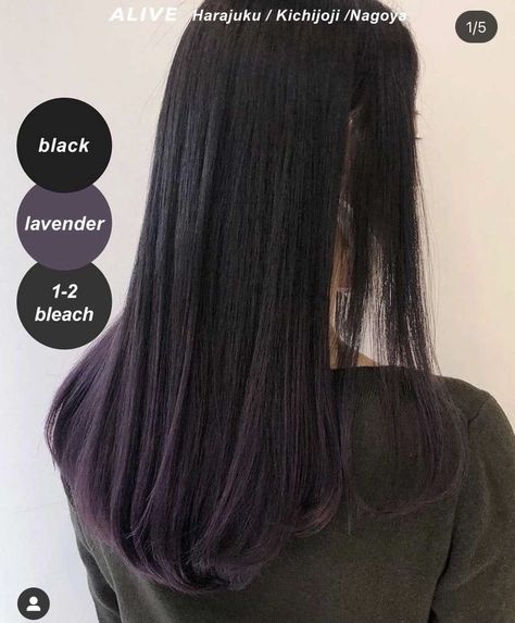 Purple Balayage Black Hair, Lavender And Black Hair, Blackish Purple Hair, Subtle Purple Hair, Violet Black Hair, Purple Peekaboo Hair, Dark Hair Dye, Purple Hair Highlights, Dyed Hair Purple