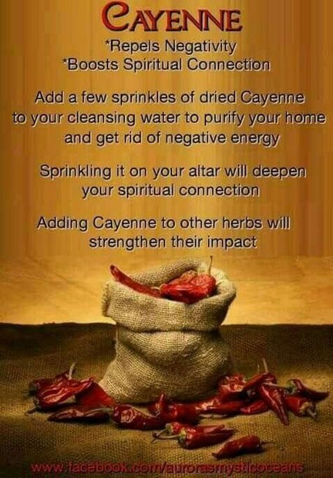 Cayenne……….Magickal Tips & Hints – Witches Of The Craft® Hoodoo Magic, Witchcraft Magic, Magickal Herbs, Witch Herbs, Green Witchcraft, Witch Stuff, Magic Herbs, Kitchen Witchery, Magical Herbs