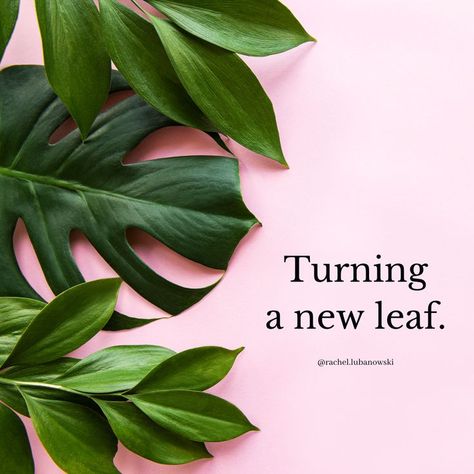 Turning a new leaf. https://www.rachellubanowski.com/ Turn A New Leaf Quotes, Turning Over A New Leaf Quotes, Turning A New Leaf Quotes, New Leaf Quotes, Team Affirmations, Leaf Quotes, New Leaf, Quotable Quotes, Inspirational Quote