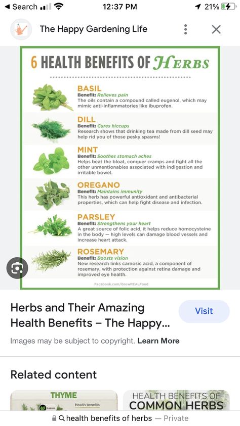 Benefits Of Parsley Tea, Health Benefits Of Parsley, Parsley Tea Recipe, Parsley Benefits Health, Natural Ibuprofen, Parsley Tea Benefits, Benefits Of Parsley, Mint Benefits, Parsley Benefits