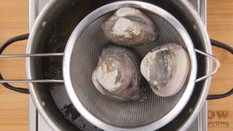 How to Steam Oysters: 8 Steps (with Pictures) - wikiHow Steamed Oysters On Stove, Steam Oysters, Steamed Oysters, Shucking Oysters, Oyster Recipes, Steam Recipes, Glass Of Champagne, Mouth Watering, Simple Way