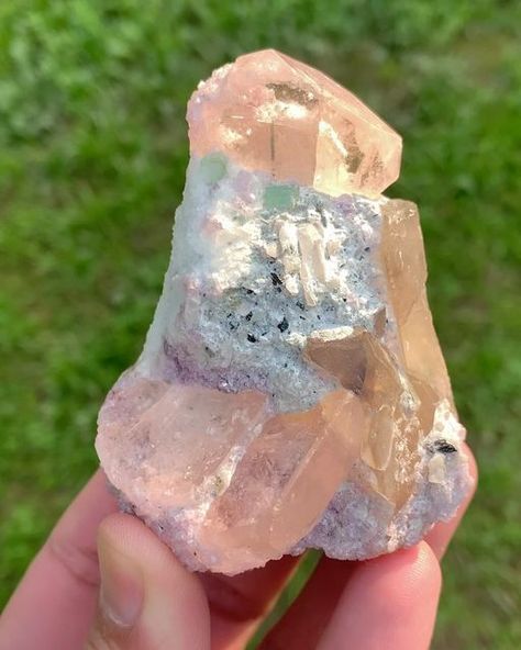 Muhammad Majid on Instagram: "Peach Pink Color Morganite Crystals with Tourmalines, Pink Lepidolite and Smoky Quartz from Dara-i-Pech Afghanistan. Specimen contains terminated and damage free morganite crystals. One of the Morganite crystals has a tourmaline crystal inside it. Weight : 171 gram Size : 74*61*51 mm Origin : Dara-i-Pech Afghanistan #morganite #morganites #tourmaline #tourmalines #quartz #lepidolite #tourmalinecrystals #beryl #feldspar #crystalcluster #minerals #mineralspecimen #fineminerals #crystals #crystalsofinstagram #mineralsparadise #gems #gemstones #gemporn #mineralshow #rockhounding #rockhounds #geology #geologypage #geologylife #gemsofinsta #minerales #cristali #crystalline #rocksandminerals" Peach Pink Color, Fine Minerals, Rock Hounding, Tourmaline Crystal, Gems And Minerals, Crystal Cluster, Peach Pink, Mineral Specimen, Rocks And Minerals