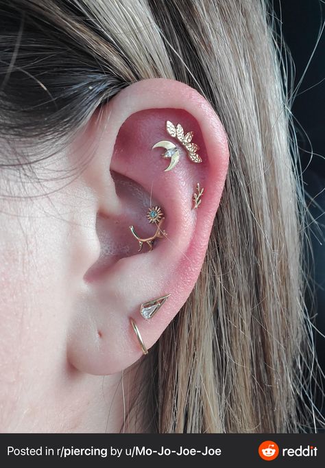 Double Conch, Physical Features, Piercing Ideas, Ear Piercing, Shopping Websites, Tea Tree Oil, Conch, Helix, Ear Piercings