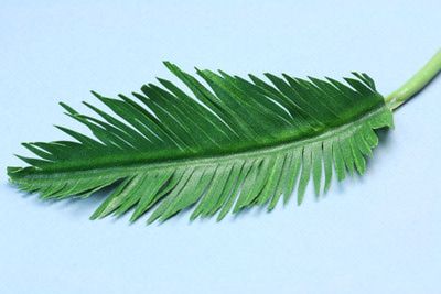 Make Realistic Miniature Model Palm Trees from Paper or Fabric and Wire Paper Palm Tree, Miniature Palm Trees, Palm Tree Crafts, Theater Props, Ideas Carnaval, Palm Tree Leaves, Paper Plants, Paper Leaves, Miniature Trees