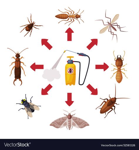 Illustration Web Design, Harmful Insects, Pest Control Services, Pest Control, Adobe Illustrator, Insects, Vector Images, Vector Free, Vector Illustration