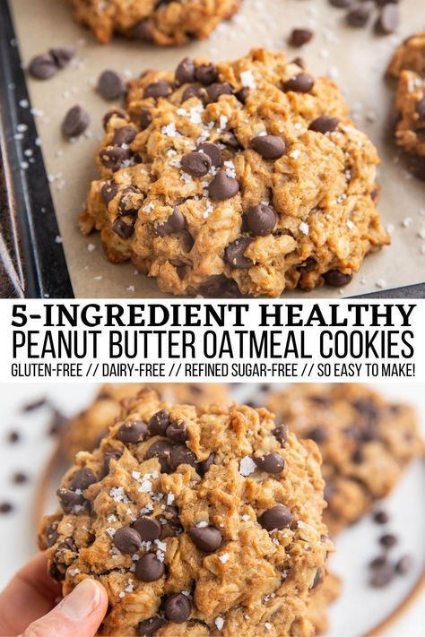 Healthy Peanut Butter Oatmeal Cookies, Peanut Butter Oatmeal Chocolate Chip, Peanut Butter Oatmeal Chocolate Chip Cookies, Fruit Appetizers, Desserts Keto, Peanut Butter Oatmeal Cookies, Oatmeal Chocolate Chip, Peanut Butter Oatmeal, Oatmeal Chocolate