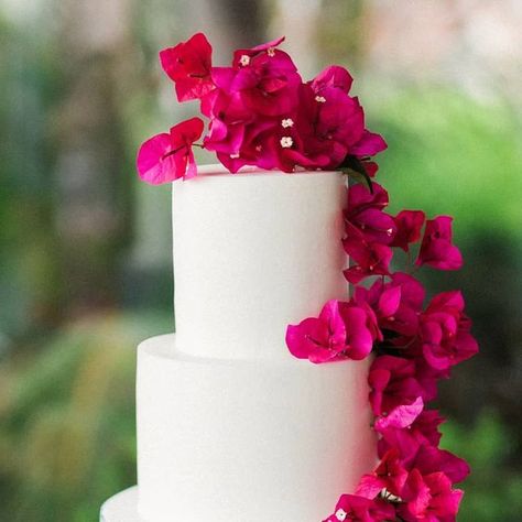 A Wild Frolic through a Flower Dreamland on Instagram: "Let's start the week off RIGHT & BRIGHT with this fabulous cake from Kate & Cameron's wedding! What's better than a gorgeous wedding cake bedecked with cake art and fresh flowers............ Why a gorgeous cake on a bed of BEAUTIFUL BLOOMS of course! Photographer @gideonphoto Planning @lovealways_planning Design @tularosaflowers Cake @cutecakes Venue @lavalenciahotel" Bougainvillea Wedding Cake, Bougainvillea Cake, Hot Pink Wedding Cake, Naxos Wedding, Mexican Wedding Decorations, Bougainvillea Wedding, Fuschia Wedding, Boho Cake, Pink Wedding Cake