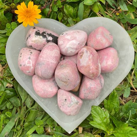 🏳️‍🌈Rhodochrosite Tumbled Stones🏳️‍🌈 Rhodochrosite is said to energize the soul and open the heart. It improves self worth, soothes emotional stress, integrates physical and spiritual energies and encourages a positive attitude. . These “Rhodochrosite Tumbled Stones” along with many more and lists of their properties are available at our Etsy Shop “RocksRX” LINK’S IN BIO FOLLOW 💎@RocksRx💎 Visit our Etsy store at https://www.etsy.com/shop/RocksRX . #pink #rhodochrosite #tumbledstones #large Rhodochrosite Meaning, Pink Rhodochrosite, Honey Calcite, Palm Beach Fl, Self Worth, Spirituality Energy, Tumbled Stones, Crystal Shop, West Palm Beach